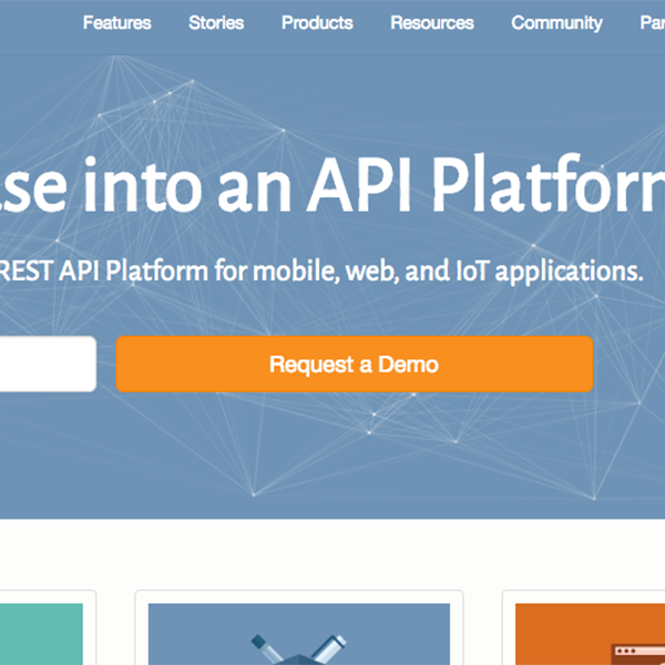 DreamFactory website homepage