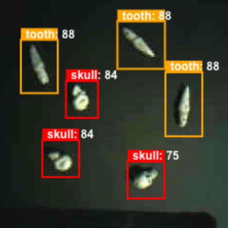 Skulls composing music with computer vision and a custom YOLO5 AI model